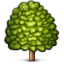 deciduous_tree