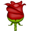 rose